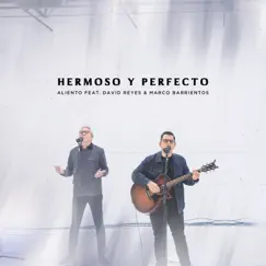 Hermoso y Perfecto (feat. David Reyes & Marco Barrientos) [En Vivo] Song Lyrics