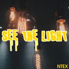 See the light (Radio Edit) - Single by NTEX album reviews, ratings, credits