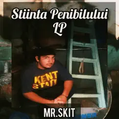 Stiinta penibilului LP by MR.SKIT album reviews, ratings, credits