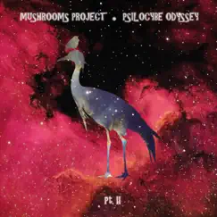 Psilocybe Odyssey (Pt. 2) by Mushrooms Project album reviews, ratings, credits