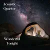 Wonderful Tonight - Single album lyrics, reviews, download