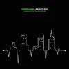 Brooklyn Beat! (feat. Ameen Saleem & Dana Hawkins) album lyrics, reviews, download