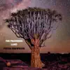 The Promised Land - Single album lyrics, reviews, download