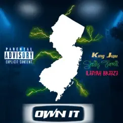 Own It (feat. Shelly Ferrell & Ileeyah Breeze) - Single by King Ju album reviews, ratings, credits