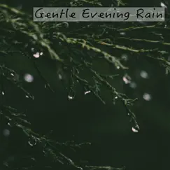 English Weather (Rainy Days) Song Lyrics