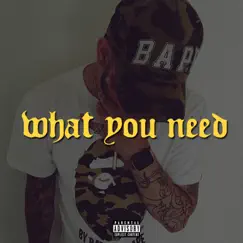 What You Need - Single by Yung 187 album reviews, ratings, credits