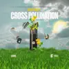 Cross Pollination album lyrics, reviews, download