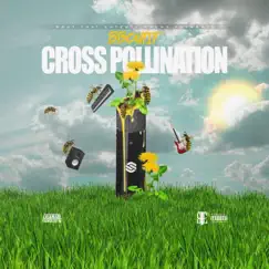 Cross Pollination by B Boutit album reviews, ratings, credits