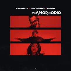 Del Amor Al Odio - Single by Juan Magán, Joey Montana & Elisama album reviews, ratings, credits