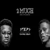 2 Much (feat. Chinko Ekun) - Single album lyrics, reviews, download