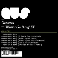 Wanna Go Bang (Tribute to PHTR Remix) Song Lyrics