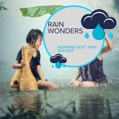 Rain Wonders - Morning Soft Rain Sounds by Rain Recordings & Everyday Rain Stories album reviews, ratings, credits