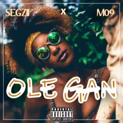 Ole Gan (feat. M09) - Single by SEGZII album reviews, ratings, credits