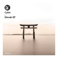 Shinobi EP by Cybin album reviews, ratings, credits