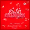 Calentura Remix (feat. Big Legna, Juanfe, JP-ES, Shake X & Fyahx) [Remix] - Single album lyrics, reviews, download