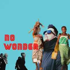 No Wonder Song Lyrics
