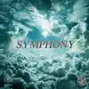 Symphony (Instrumental) - Single album lyrics, reviews, download