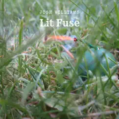 Lit Fuse - Single by Josh Williams album reviews, ratings, credits