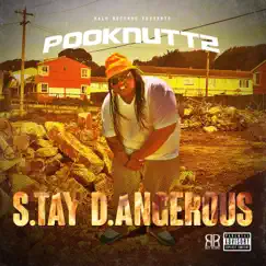 S.Tay D.Angerous - EP by PookNuttz album reviews, ratings, credits