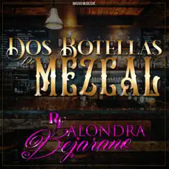 Dos Botellas de Mezcal Song Lyrics