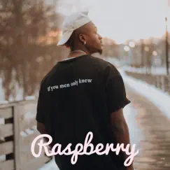 Raspberry - Single by Vinothekidd album reviews, ratings, credits