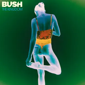 The Kingdom by Bush album download