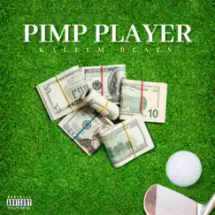 Pimp Player Song Lyrics