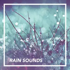 Rain Sounds by Rain Sounds album reviews, ratings, credits
