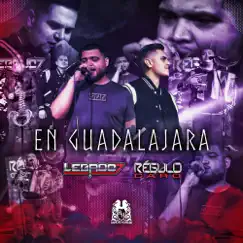 En Guadalajara (feat. Regulo Caro) Song Lyrics
