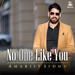 No One Like You - Single by Amarjit Sidhu album reviews, ratings, credits