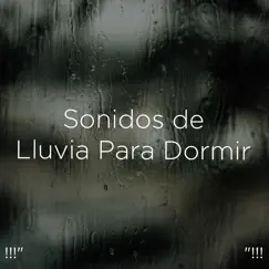 Sonidos De Lluvia Para La Meditación Song Lyrics