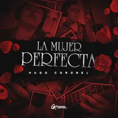 La Mujer Perfecta Song Lyrics