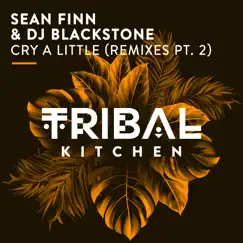 Cry a Little (Remixes Pt. 2) [Radio Edits] - Single by Sean Finn & DJ Blackstone album reviews, ratings, credits