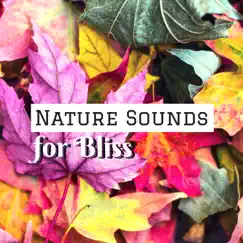 Nature Sounds for Bliss - Sound Therapy for Mind Power, Music for Deep Relaxation by Inner Bliss Club album reviews, ratings, credits