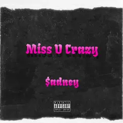 Miss U Crazy Song Lyrics