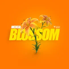 Blossom (Radio edit) - Single by Nickeal album reviews, ratings, credits