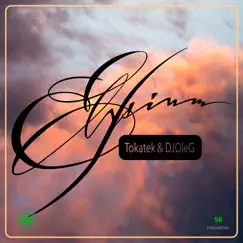 Elysium - Single by Tokatek & DJ OleG album reviews, ratings, credits