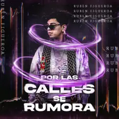 Por Las Calles Se Rumora - Single by Ruben Figueroa album reviews, ratings, credits