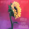 Feels Like Summer (feat. FITZY) - Single album lyrics, reviews, download