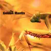 The Golden Mantis - EP album lyrics, reviews, download