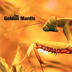 The Golden Mantis - EP by The Golden Mantis album reviews, ratings, credits