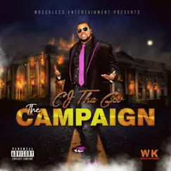 Campaign (feat. Point Blank & Ronnetta Spencer) Song Lyrics