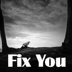 Fix You - Single by Mounaim Bouha album reviews, ratings, credits