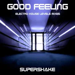 Good Feeling (Club Levels Karaoke Edit Instrumental) Song Lyrics