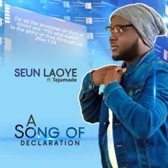 A Song of Declaration (feat. Tejumade) - Single by Seun Laoye album reviews, ratings, credits