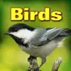 Birds album lyrics, reviews, download
