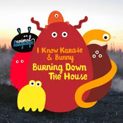 Burning Down the House (2CV Remix) [feat. Bunny] Song Lyrics
