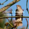 Sounds of Natural Song Vol. 2 album lyrics, reviews, download