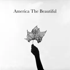 America the Beautiful (feat. Trisha Yearwood, Keb' Mo', Amy Grant & the War and Treaty) - Single by Matt Rollings & Kristin Wilkinson album reviews, ratings, credits