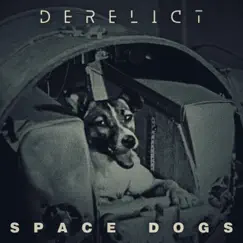 Space Dogs Song Lyrics